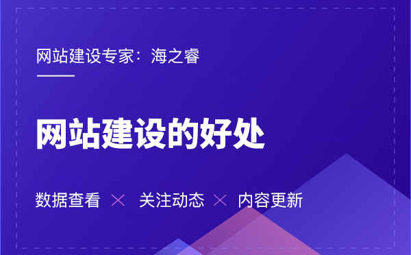 海之睿的網(wǎng)站建設(shè)有那些好處？